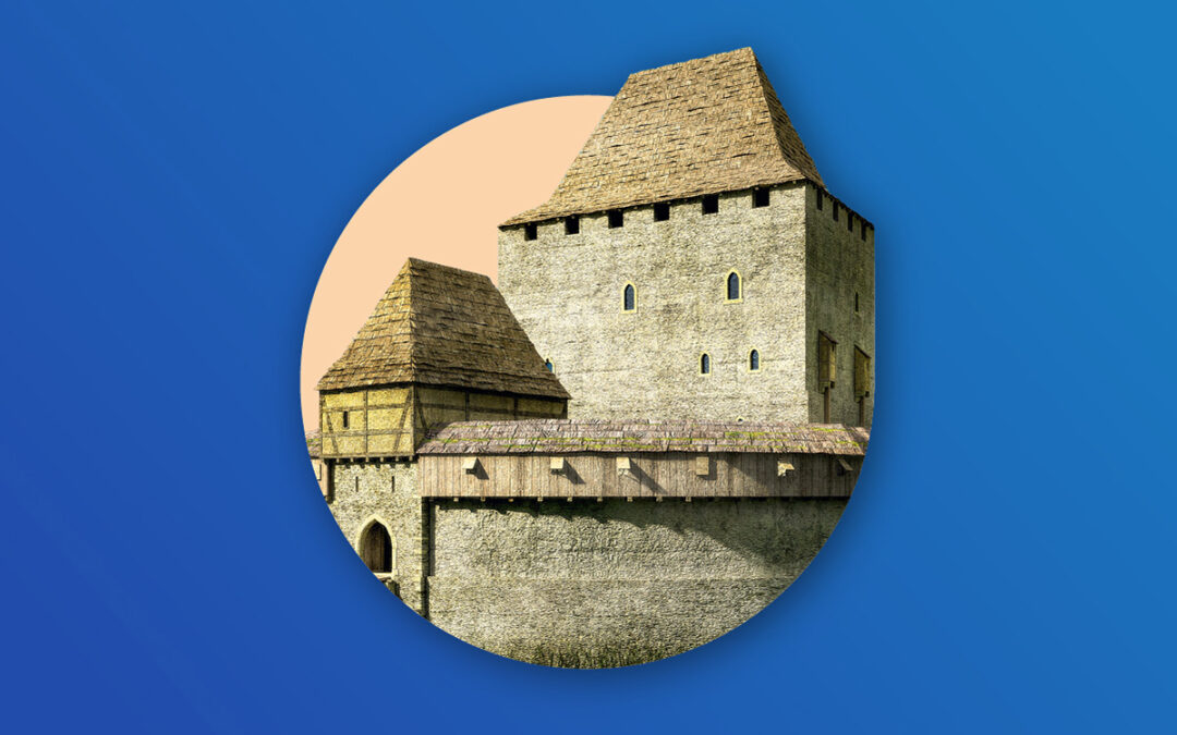  „Za kulisami – dni otwarte w archeologii” – webinarium dla organizatorów Europejskich Dni Archeologii