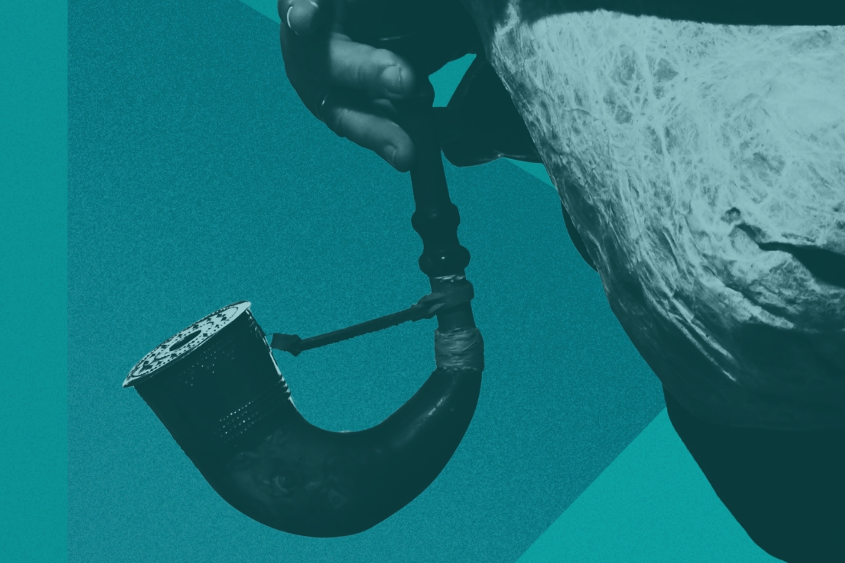 NPD_nabór-do-pogramu-2026