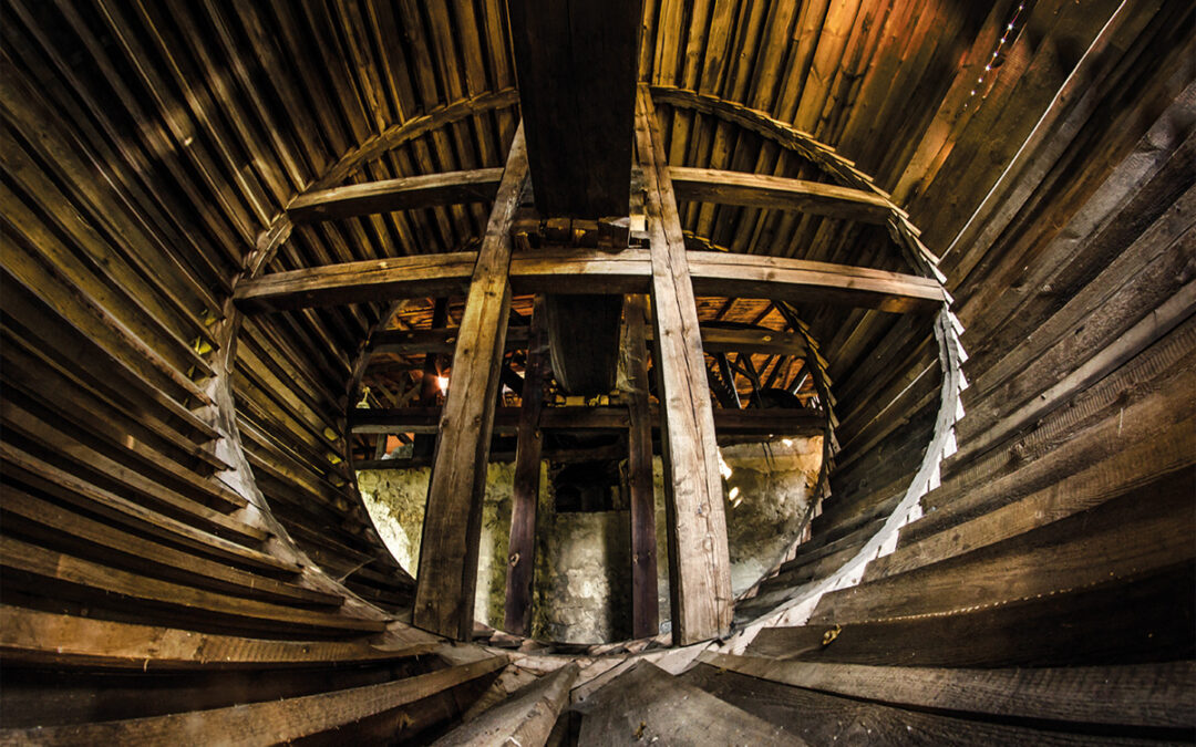 Szkoły Ciesielskie NID w woj. świętokrzyskim – ruszyła rejestracja